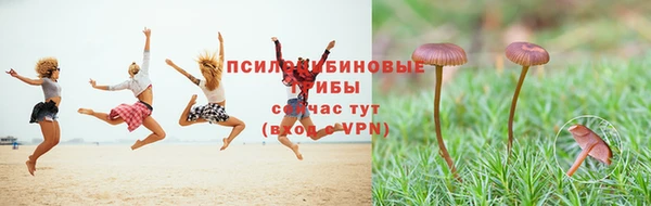 крисы Белоозёрский