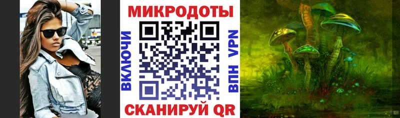 купить наркоту  Богданович  Галлюциногенные грибы Magic Shrooms 